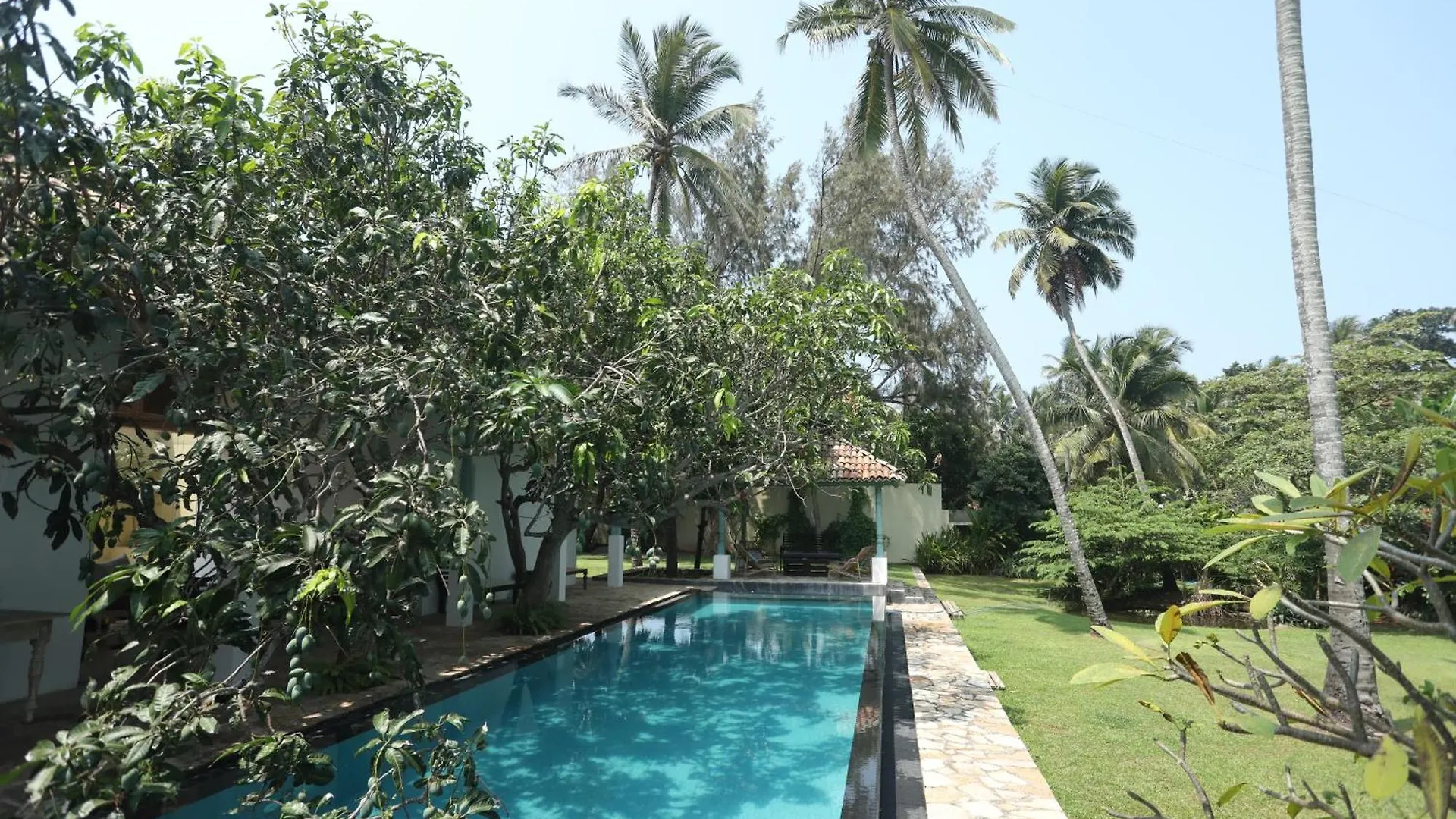 Guest house Singhagra Tropical Villa Negombo Kepungoda