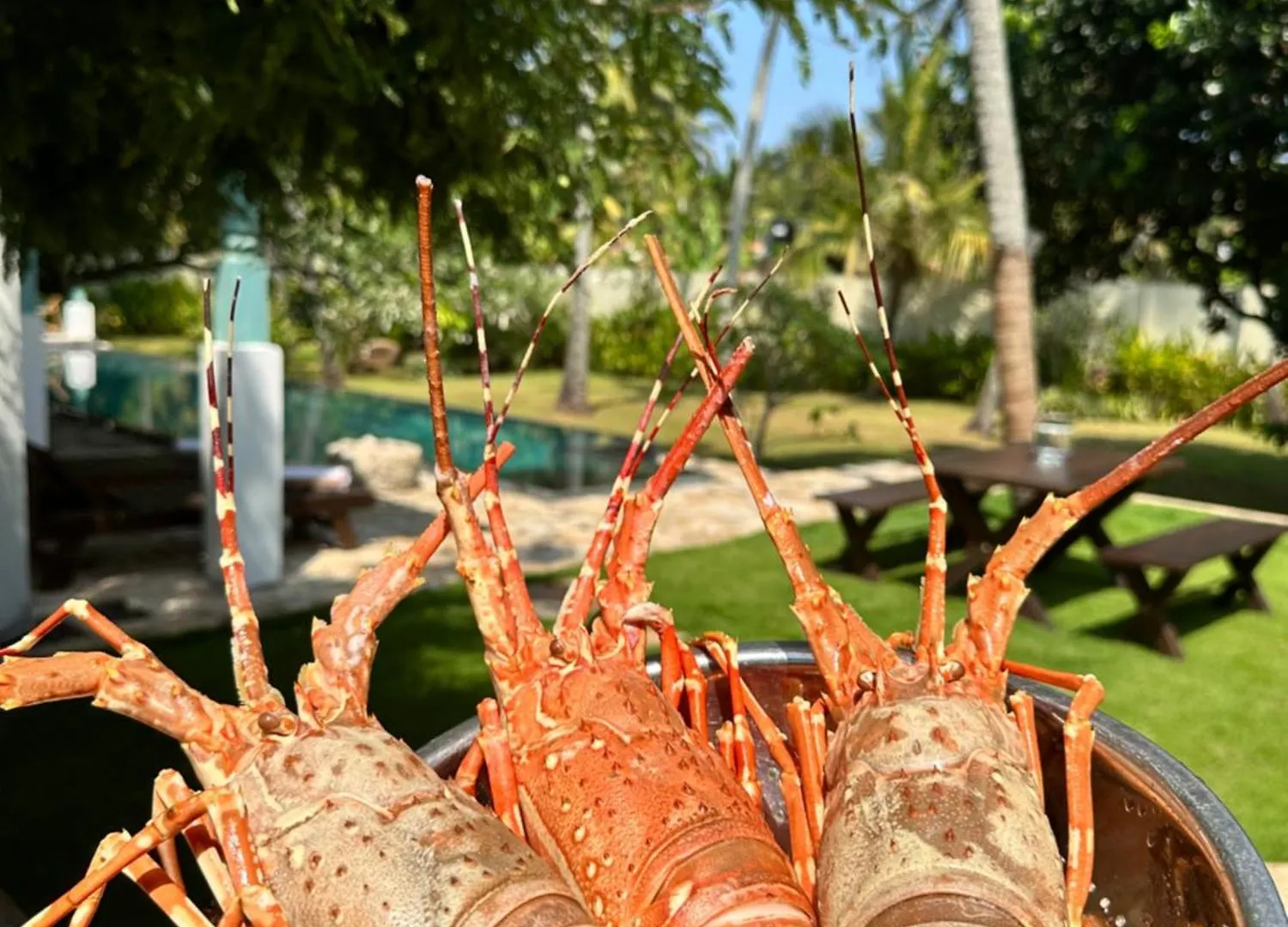Affittacamere Singhagra Tropical Villa Negombo Kepungoda